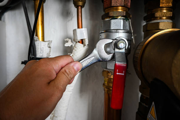 Best 24-Hour Plumber Near Me  in Williamstown, KY